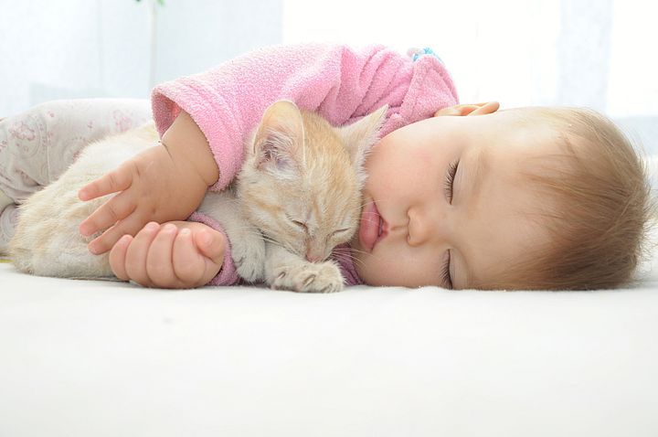 малыш и кот спят