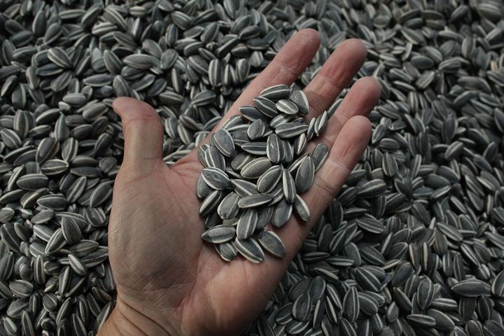 many-calories-sunflower-seeds_